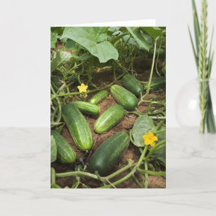 Cucumber Patch Greeting Card