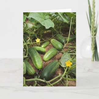 Cucumber Patch Greeting Card