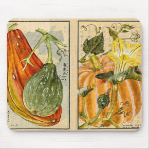 Cucurbita Pepo - Vintage Art by Seikei Zusetsu  Mouse Pad