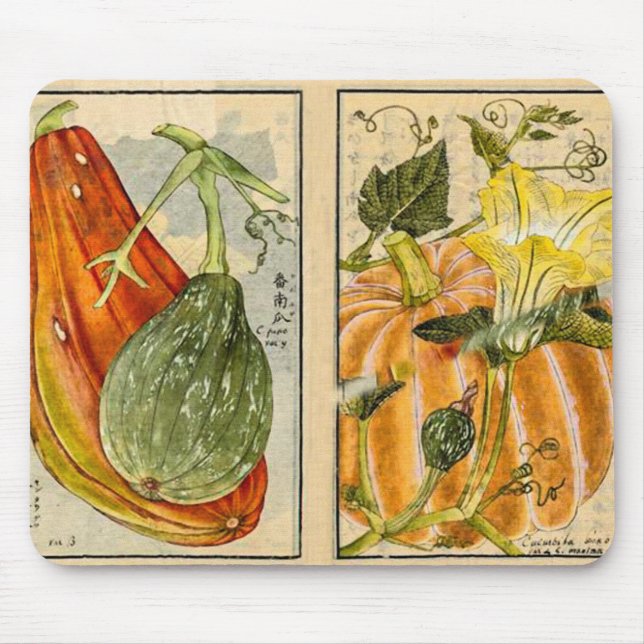 Cucurbita Pepo - Vintage Art by Seikei Zusetsu  Mouse Pad (Front)