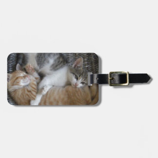 Cuddle Kitties Luggage Tag