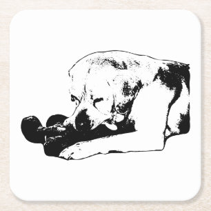 Cuddle the Favourite Square Paper Coaster