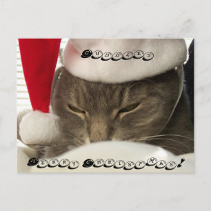 Cuddles, Merry Christmas! post cards