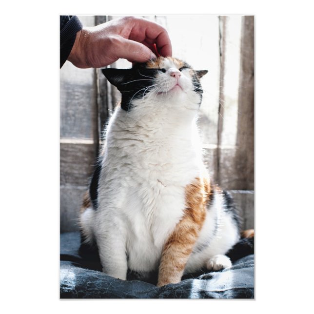 Cuddles Photo Print (Front)