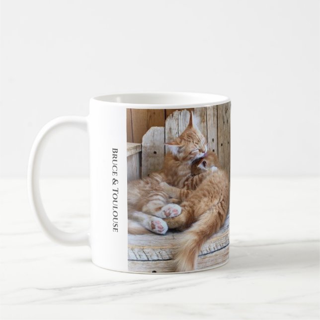 Cuddling Cats  Coffee Mug (Left)