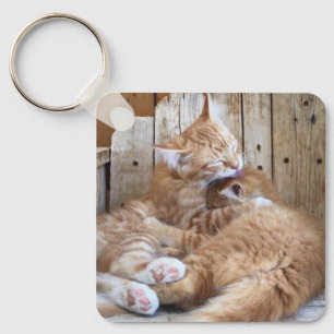 Cuddling Cats Keychain