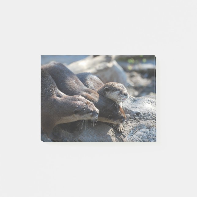 Cuddling Otters Post-it Notes (Front)