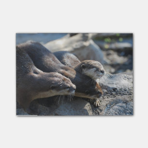 Cuddling Otters Post-it Notes