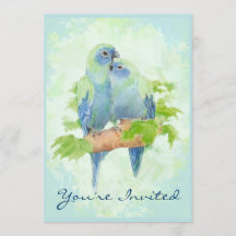Cuddling Tropical Parrot Wedding Anniversary