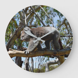Cuddly Big Male Australian Koala, Large Clock