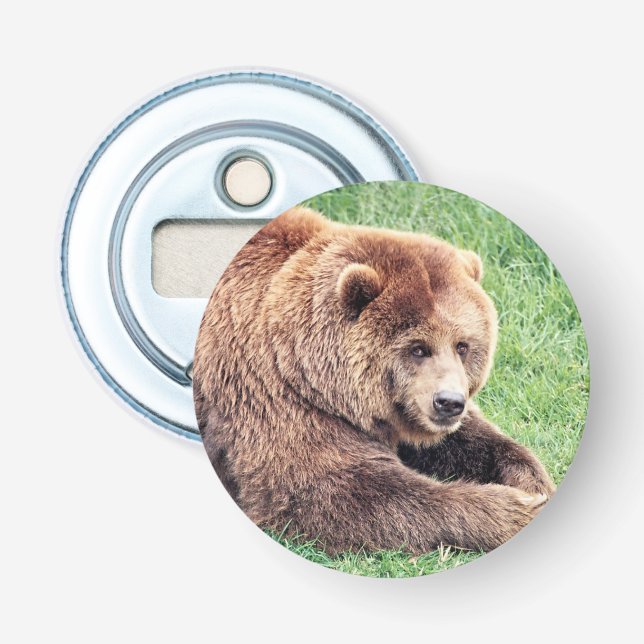 Cuddly Brown Bear Photograph Bottle Opener (Front)