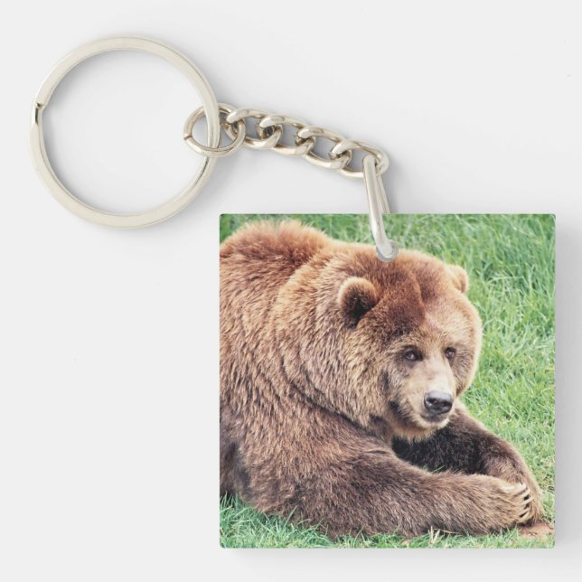 Cuddly Brown Bear Photograph Keychain (Front)