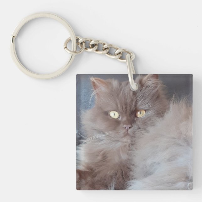 Cuddly Cat Acrylic Key Ring (Front)