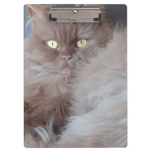 Cuddly Cat Clipboard