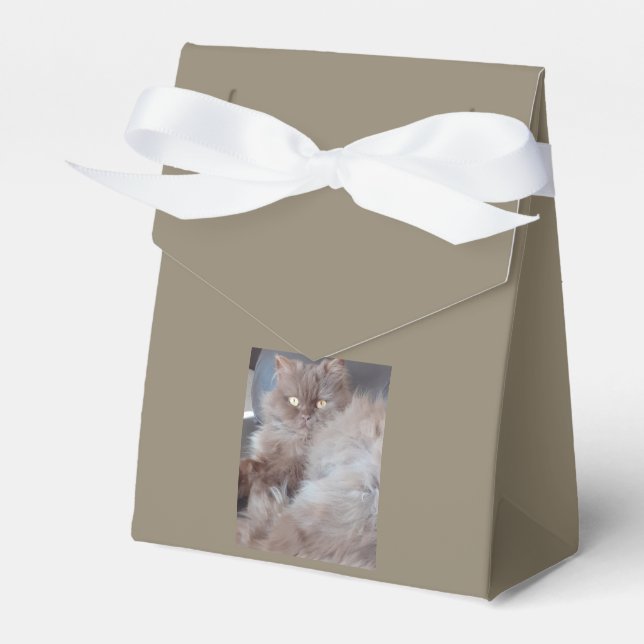 Cuddly Cat Favor Box (Front Side)