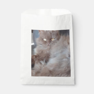 Cuddly Cat Favour Bag