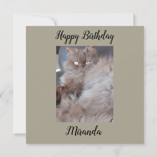Cuddly Cat Flat Birthday Card (Front)