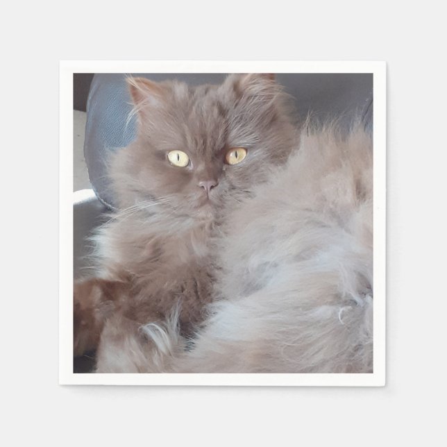 Cuddly Cat Paper Napkin (Front)