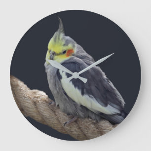 Cuddly Cockatiel Wall Clock