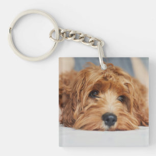 Cuddly Dog Acrylic Keychain