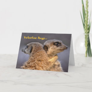 Cuddly Kats Card - Valentine