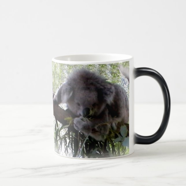 Cuddly Koala Magic Mug (Right)