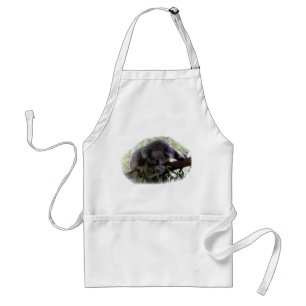 Cuddly Koala Standard Apron
