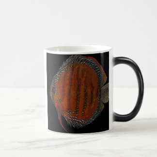 Cuipeua discus magic mug