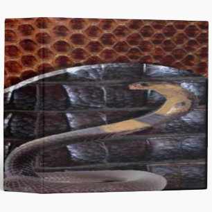 Cuir serpent Avery Classeur