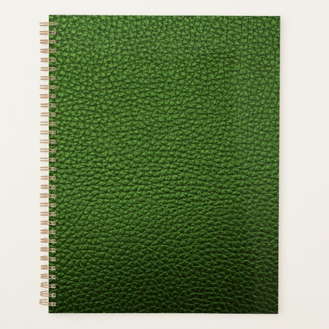Cuir vert (Devant)