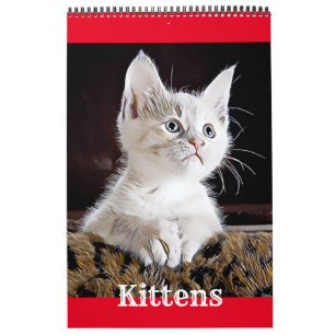 CUISINE CATS PUPIES - Calendrier