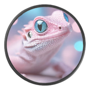 Cuisine Petit Lézard Rose aux Grands Yeux Bleus