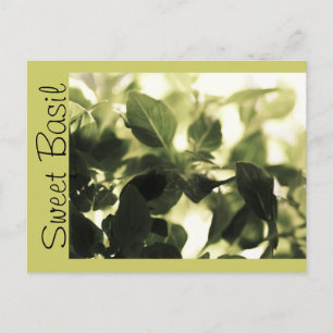 Cuisiniers italiens ! Basil sucré, Cartes de recet
