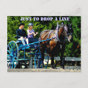 culpeper va draught horse show postcard