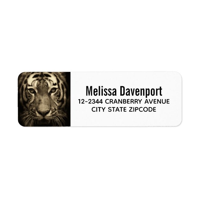 Cultivant Tiger Visage Wild Chat (Devant)
