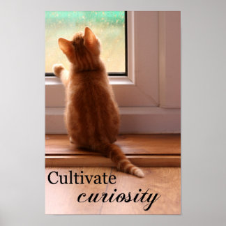Cultiver Curiosity extra petit poster