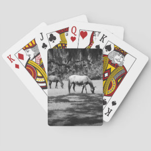 Cumberland in Black Playing Cards