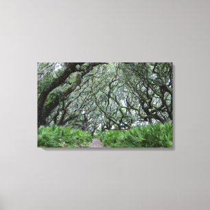 Cumberland Island Canvas Print