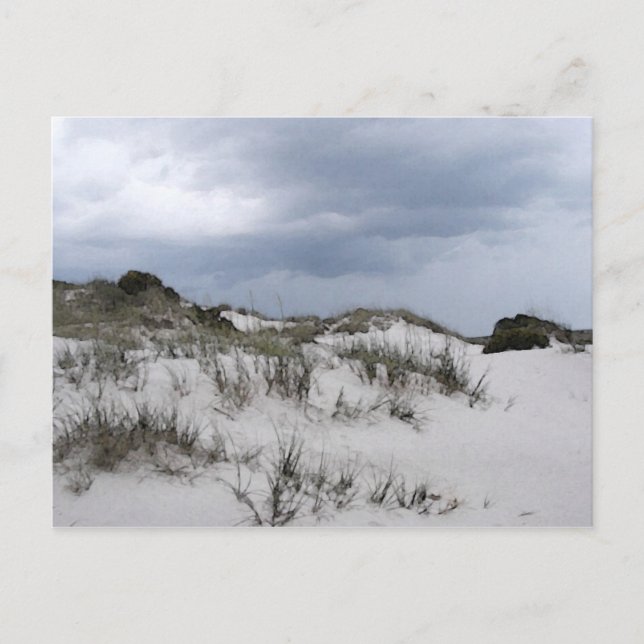 Cumberland Island dunes Postcard (Front)