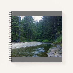 Cummins Creek at Neptune State Park, OR Notebook