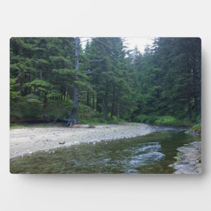 Cummins Creek at Neptune State Park, OR Plaque