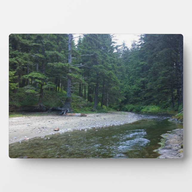 Cummins Creek at Neptune State Park, OR Plaque (Front)