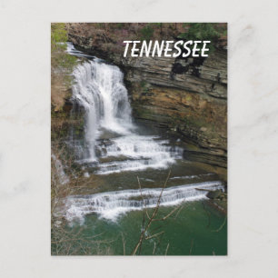 Cummins Waterfall Postcard