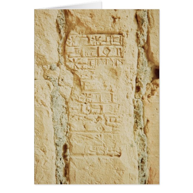 Cuneiform script on a palace wall (Front)