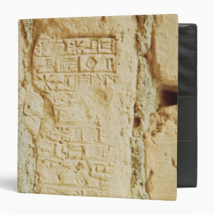 Cuneiform script on a palace wall binder