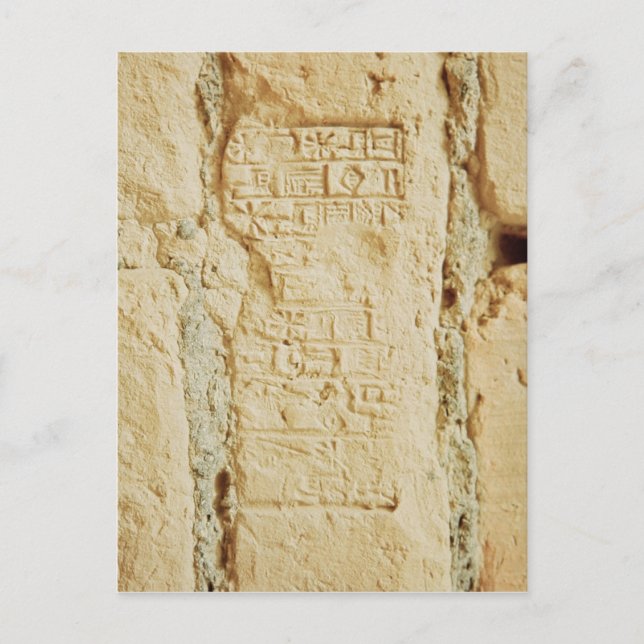 Cuneiform script on a palace wall postcard (Front)