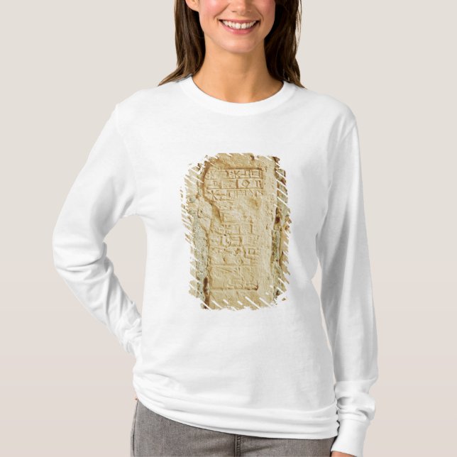 Cuneiform script on a palace wall T-Shirt (Front)