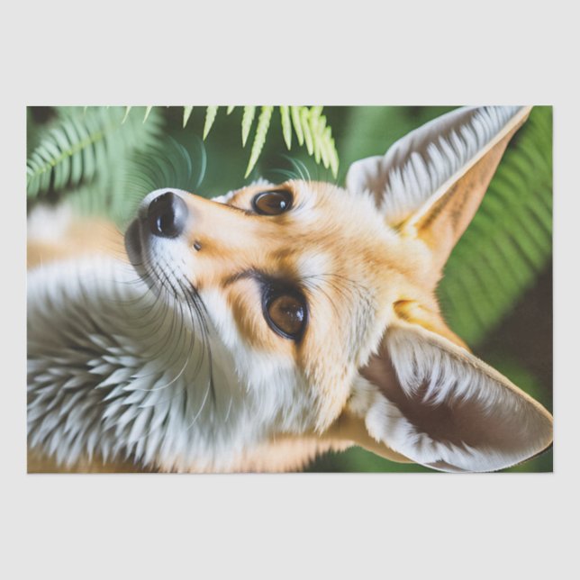 Cunning Fennec Fox, Tissue Paper (Front)