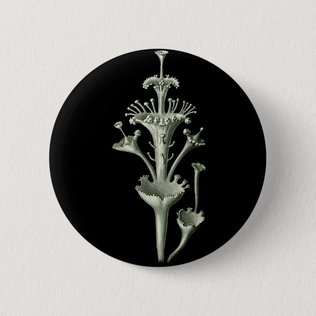 Cup Lichen 2 Inch Round Button (Front)