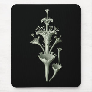 Cup Lichen Mouse Pad